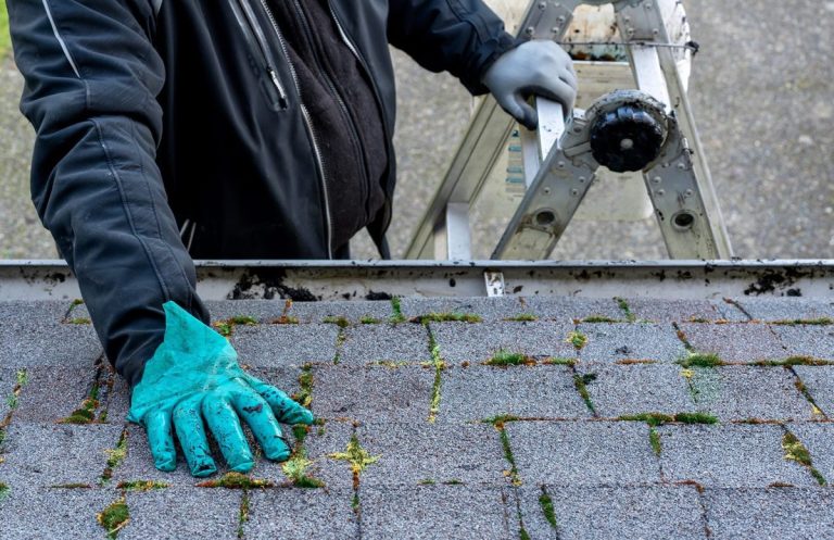 Roof Maintenance - Someone inspecting roof.