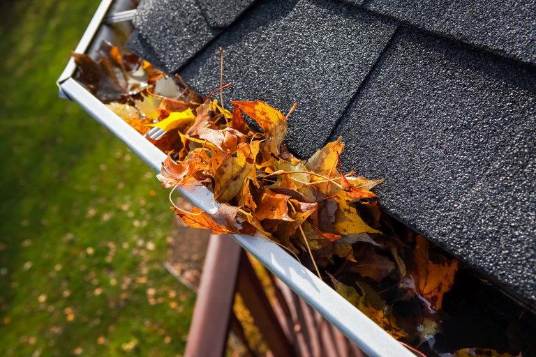 Gutter Maintenance