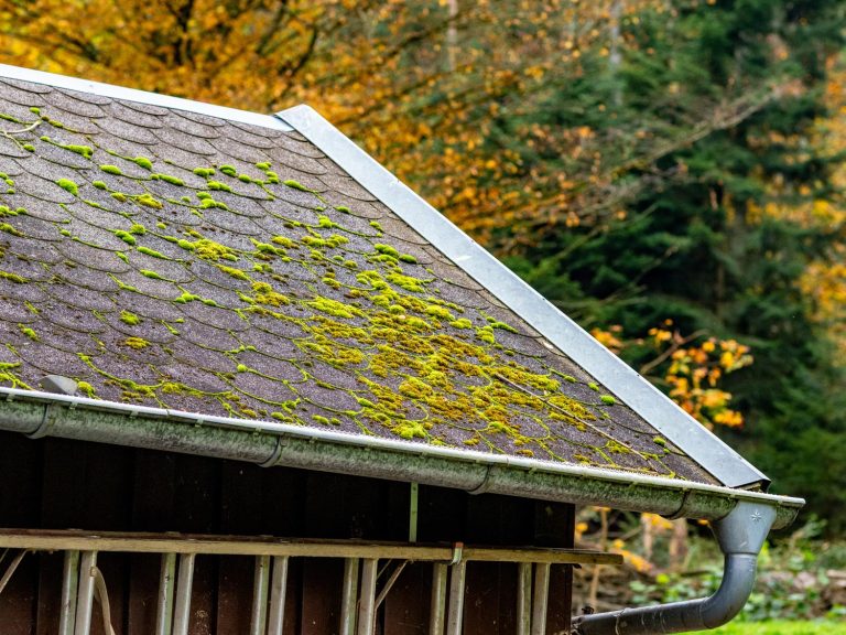 Summertime Roof Problems - Mold on Roof
