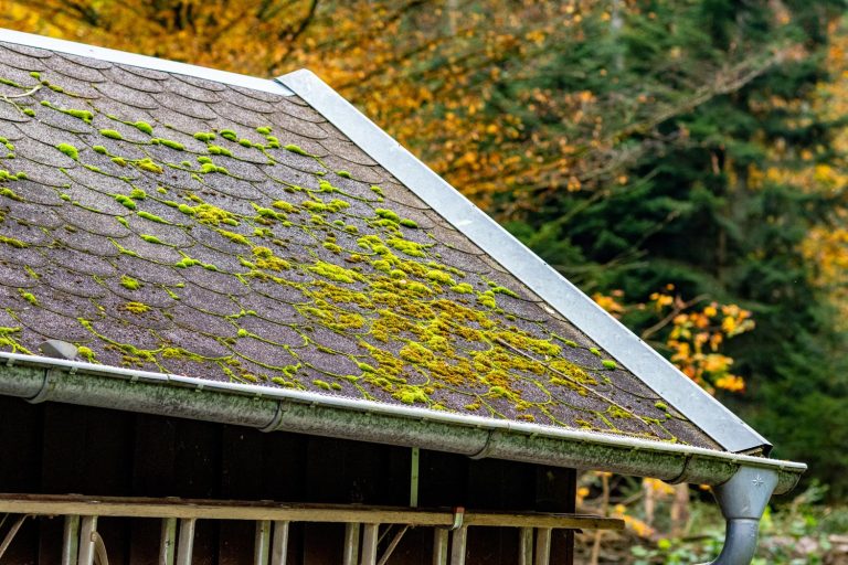 Summertime Roof Problems - Mold on Roof