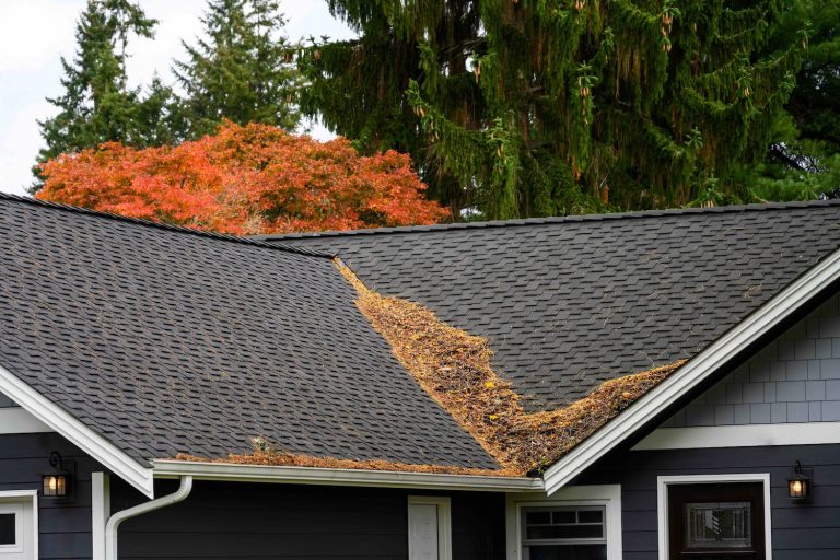 Preparing Your Roof for Winter Blog Photo - leaf buildup on roof