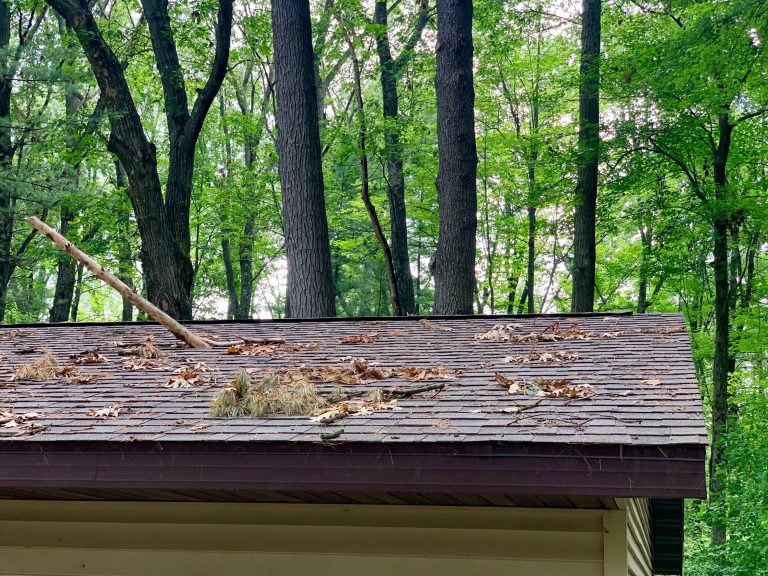 branches causing damage on roof. Spring Roof Maintenance blog