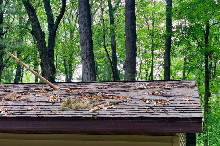 branches causing damage on roof. Spring Roof Maintenance blog